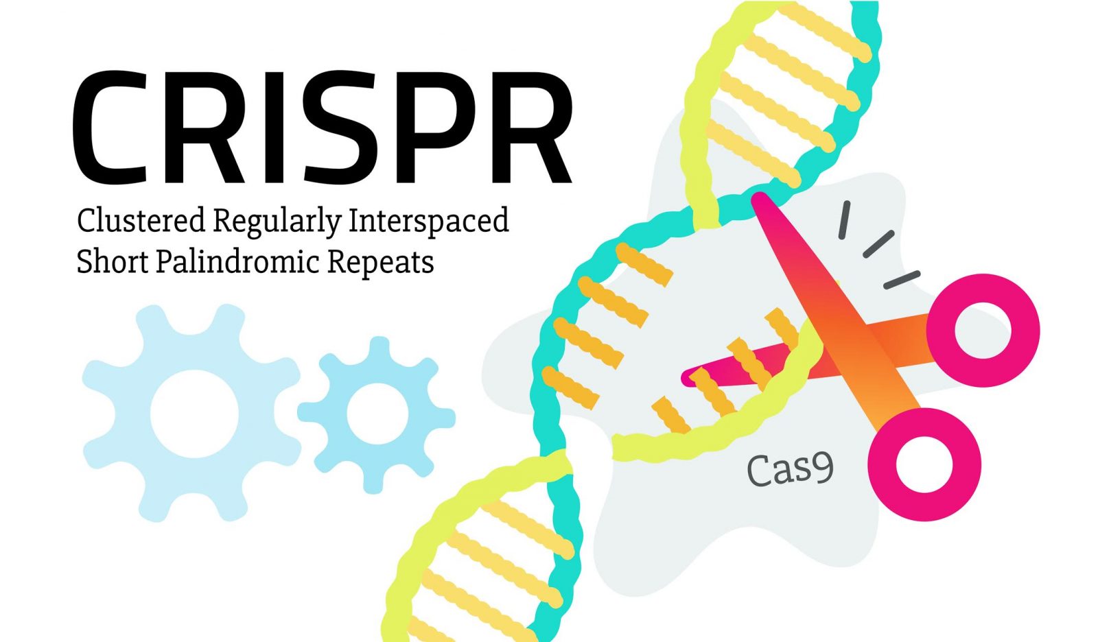 CRISPR kép